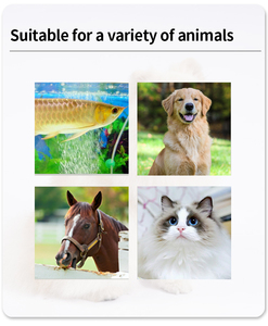 رقاقة ميكروتاغ تحت الجلد معتمدة من ICAR مع طقم حقنة للخنازير - Product Image 2