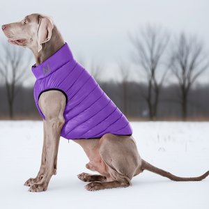 Abrigo para Perro Airyvest, Talla Pequeña C S, Ligero, Reversible, Resistente al Agua y al Viento, Cálido, Color Rosa y Morado - Product Image 2