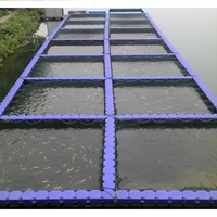 Pont flottant modulaire en plastique pour pisciculture, à montage et démontage rapides, pour bassin, cage de culture et ponton