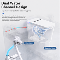 Toilette intelligente à chasse d'eau automatique avec réservoir intégré pour hôtels, appartements et projets de salles de bain