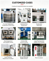 Armoire de stockage à basse température de laboratoire 100L à prix d'usine avec fenêtre anti-buée, incubateur de refroidissement BOD -10°C ℃