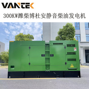 Groupe électrogène diesel Jiangsu Wantai 300 kW, refroidi par eau, insonorisé, 50 Hz, 230/400 V - Product Image 5