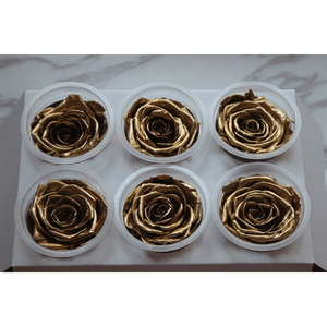 Fornitura diretta in fabbrica di Rose arcobaleno conservate Boutique di grado 5-6cm di Rose fresche belle piante di fiori conservati utilizzo della parete - Product Image 6