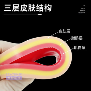 Kangcai Yiliaoqixie Surgical Suturing Practice <b>Model</b> Silicone Simulated Skin Multiple Wound Designs For <b>Medical</b> Training - Product Image 3