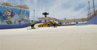 Tapis de ski sec artificiel d'enseignement de neige sèche de champignon de vente chaude, piste de ski sèche résistante à l'usure et respectueuse de l'environnement
