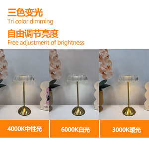 New cross-border product: minimalist, light luxury, high-end decorative ambient light, bedroom <b>bedside</b> acrylic <b>USB</b> rechargeable - Product Image 5