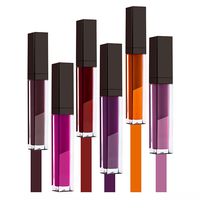 Cosmétiques de maquillage minéral à marque privée, nouveau design, luxe, végan, sans cruauté, longue tenue, imperméable, gloss à lèvres liquide mat