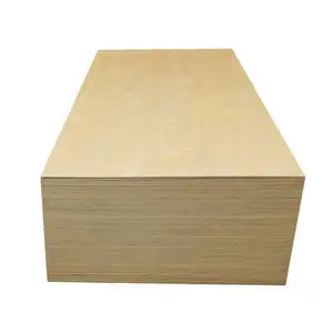 China Suppliers Direct Sales Cheap 2mm 18mm 8mm 1220*2440mm 9mm Full Birch Plywood