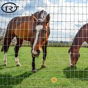 Goede Kwaliteit Shee Geit Boerderij Hek Voetbal Veld Gaas Hek