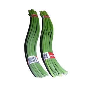 High Quality <strong>Fresh</strong> Organic Green <strong>Garlic</strong> Scapes | China <strong>Fresh</strong> <strong>Garlic</strong> Sprouts Stems for Wholesale | Healthy Vegetable for Stir-fry - Product Image 4