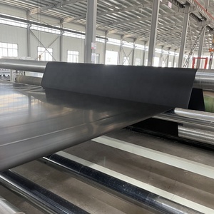 แผ่นใยสังเคราะห์ HDPE สีดำ/น้ำเงิน สำหรับบ่อเลี้ยงสัตว์น้ำ/บ่อเพาะเลี้ยงสัตว์น้ำ/บ่อเกษตรกรรม หนา 1 มม. ราคาโรงงานที่ดีที่สุด - Product Image 2