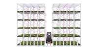 Serres agricoles verticales multi-chapelles mobiles et fixes d'intérieur Loyal LS-4040 pour la culture hydroponique à grande échelle