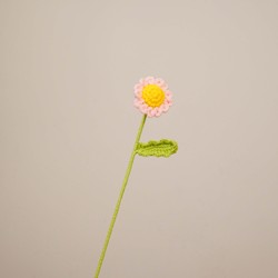 Grosse marguerite rose