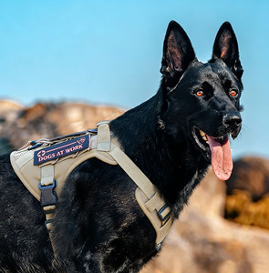 Harnais tactique respirant pour chien de taille moyenne à grande, harnais d'entraînement pour animaux de compagnie en Oxford durable, pour la randonnée en plein air, <span class=keywords><strong>gilet</strong></span> <span class=keywords><strong>K9</strong></span> - Product Image 6