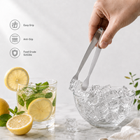 Mini-suikerklontjes-tang van 304 roestvrij staal voor bar, buffet, koffie, dessert, keuken, groothandel