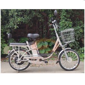 Vélo électrique DSY Yilan 18 20 pouces à une roue, frein à disque en aluminium, cyclomoteur avec batterie lithium 48V 15Ah, Disiyuan - Product Image 1