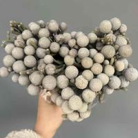 Fleurs séchées en gros tout-en-un : fruits de corail naturels pour arrangements de bouquets DIY, fleurs éternelles pour la décoration de la maison et de mariages