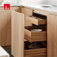 Armoires de cuisine Alland de style scandinave contemporain en chêne blanc sans cadre, finition teintée, avec quincaillerie dorée