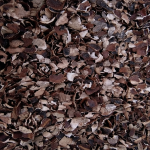 Gia Gia Nguyen exporte des granulés de noix de cajou granulats de tannage crus pour l'alimentation animale à partir de la coquille de noix de cajou déchets d'un produit de granulés de bois - Product Image 1