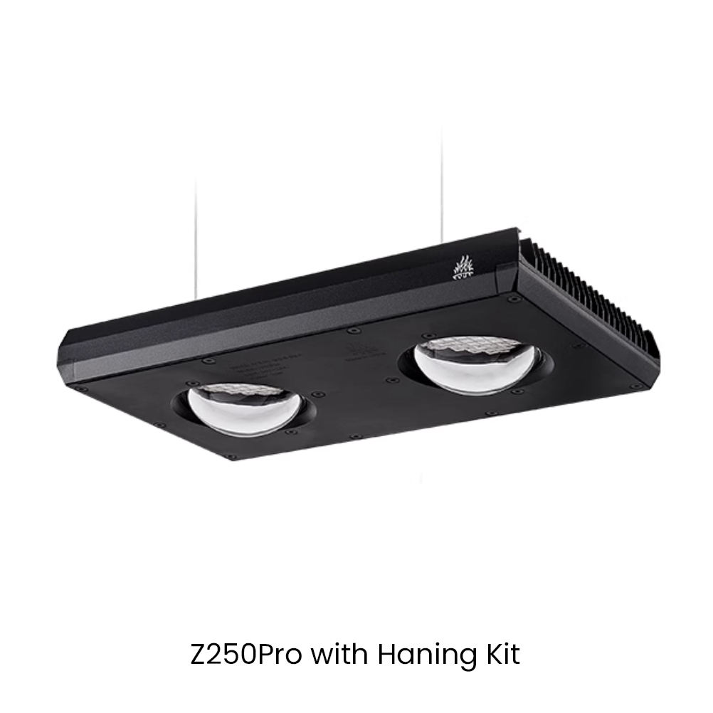 Z250Pro avec kit de suspension