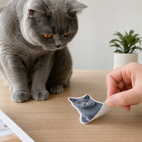 Autocollants personnalisés découpés sur mesure pour animaux de compagnie (chats, chiens) – Autocollants en vinyle imperméables et résistants à l'usure pour frisbees d'animaux