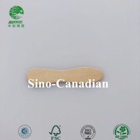 Bâtonnets de crème glacée en bois bio personnalisables, écologiques, jetables, flexibles, réutilisables, de qualité alimentaire, sûrs, pour la fabrication maison de crème glacée et jouets