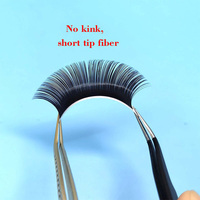 En stock Extensions de cils classiques individuels Premium PBT B C CC D DD Curl Lashes Wholesale Mink Eyelash Extensions