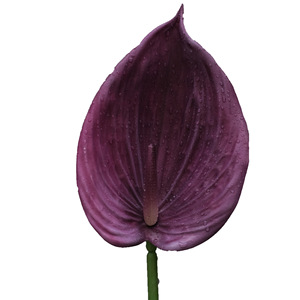 Flores Artificiais em Cores Roxas Lavanda, Rosas e Hortênsias para Casamentos e Decoração de Casa, Modelo 956 em Tecido de Seda - Product Image 1