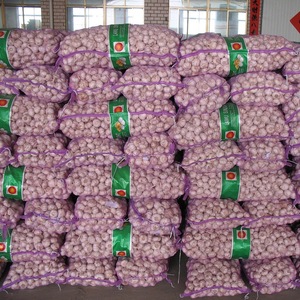 40mm 50mm 70mm <strong>Fresh</strong> <strong>Garlic</strong> From India Allium Sativum Premium Export Quality Bulk Supplier - Product Image 1