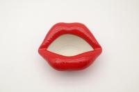 Vas Bunga Keramik Bibir Merah Seksi, Botol Diffuser Reed Seni Pop Kreatif, Vas Bunga Mini Bentuk Bibir Unik, Dekorasi Rumah