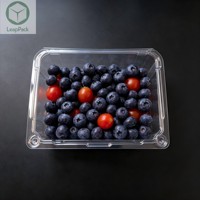 Boîte d'emballage en plastique transparent pour fruits, type clamshell, pour myrtilles