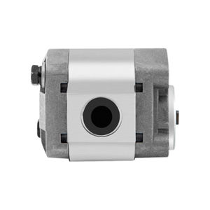 CBQ-F200 Aanpasbare Hydraulische Tandwielpomp Hogedruk Oliepomp Voor Auto Achterklep Power Unit Slijtvaste Accessoires Voor - Product Image 3