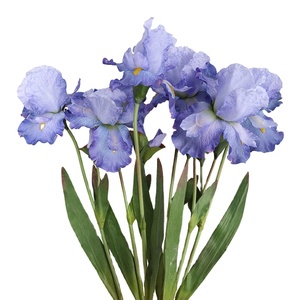 Iris Artificial de Seda Plástica Teñida con Tinta ZHOUDI, Mezcla de Seda, para Decoración del Hogar y Bodas - Product Image 1