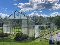 Goedkope enkelspannings tunnelkas met warmgegalvaniseerd stalen frame en stabiele constructie voor tomaten- en groenteteelt