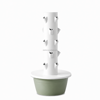 Système de culture hydroponique en tour à 5 niveaux et 4 plantes, 20 trous, pour ananas, herbes et laitues, idéal pour le jardin domestique – Vente directe usine, durable