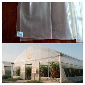 Película de Polietileno Agrícola Resistente a los Rayos UV de 150 Micras, 200 Micras y 250 Micras para Cubrir Invernaderos de Verduras y Frutas - Product Image 1