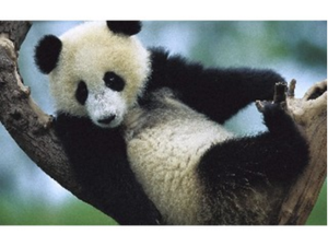 Jiangxing hiện đại thời trang vải nghệ thuật 5D DIY kim cương bức Tranh phong cảnh 5D kim cương nghệ thuật bức tranh - Product Image 4