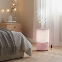 Mini humidificateur ultrasonique pour la maison et l'hôtel, capacité de 3 à 5 L, fonctionnement silencieux <36 dB, fonction de minuterie