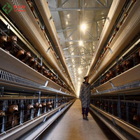 Cages à poulets de type H entièrement automatiques, galvanisées à chaud, à haute capacité de charge, faciles à installer, avec mangeoire et abreuvoir