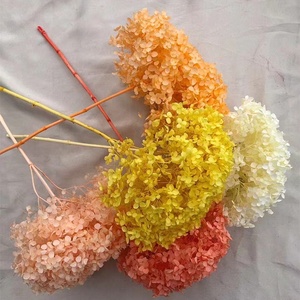 Bán Buôn Trang Trí Hoa Khô Hoa Tú Cầu Hoa Màu Hồng Nhỏ Lá Anna Bảo Quản Tú Cầu Với Duy Nhất Dài Thân Cây - Product Image 4