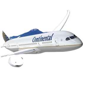 Servizio di Spedizione Aerea Rapida DDP dalla Cina a <span class=keywords><strong>LA</strong></span>, New York, Toronto, Consolidamento Magazzino Amazon, Servizio Espresso Aereo - Product Image 4