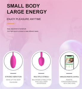 Vibromasseur à œufs alimenté par USB pour point G et clitoris féminin 10 vitesses Kegel Ball & Nipple Massager Bluetooth Connectivity Panty Type - Product Image 5