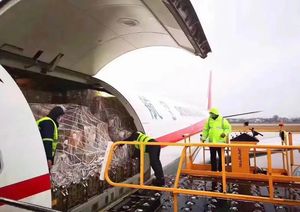 Servicio <span class=keywords><strong>de</strong></span> carga aérea <span class=keywords><strong>de</strong></span> Guangzhou a Entebbe exprés puerta a puerta con despacho <span class=keywords><strong>de</strong></span> aduanas Entrega en 3-5 días laborables - Product Image 3