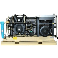 Compresseur industriel à piston haute pression 40bar Compresseur d'air alternatif Machine pour raffinage du pétrole Moteur à noyau de pétrole/gaz
