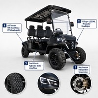 Carrito de Golf Eléctrico de 4 Plazas, Motor de CA de 4.0kW, 60V 100Ah, Negro, Vehículo Utilitario Todoterreno, OEM ODM