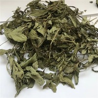Teh Peppermint Kering Cina Segar Hasil Panen Baru, Kemasan Sachet, Kotak, Cangkir, Teh Sehat untuk Menurunkan Berat Badan