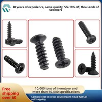 Vis autotaraudeuses métriques en acier au carbone noir, à tête fraisée cruciforme, à queue plate, petites vis chinoises M12 M14 M17 M2 M3 M4