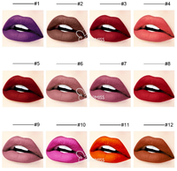Fournisseur de dropshipping, 44 couleurs, gloss à lèvres mat longue tenue, rouge à lèvres liquide, créez votre propre marque