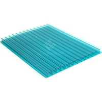 Feuille de soleil et feuille de relief de pc feuille creuse de toiture de polycarbonate de double couche