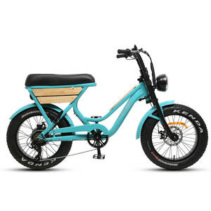 TXED 250W Motor de cubo trasero Ebike 48V Empuñaduras de calefacción Placa de decoración de madera Neumático gordo eléctrico Motocicleta Bicicleta para mujeres - Product Image 1